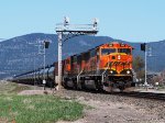 BNSF 290